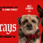Strays Review